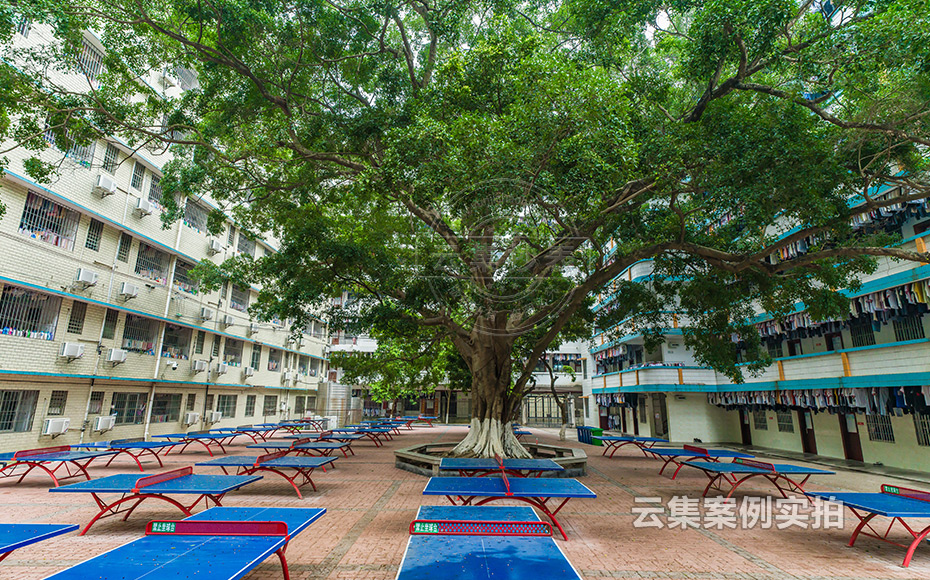 �ЌW(xu��)늱�����ϵ�y(t��ng)