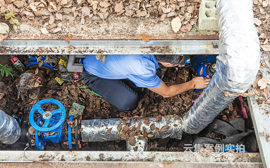 ���I(y��)�@�ܺĳ���ϵ�y(t��ng)