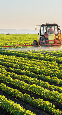 �����y(c��)��